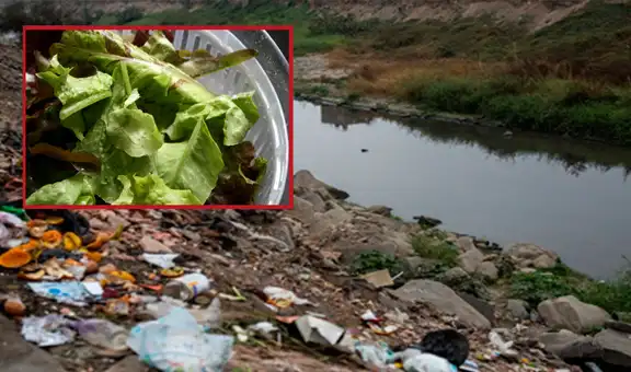 Verduras en Lima se riegan con agua del río Rímac que contiene bacterias resistentes a antibióticos, según científicos