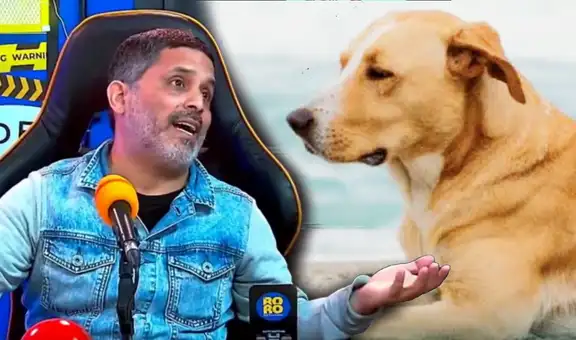 Director de 'Vaguito' protagoniza acalorada discusión por donación a albergues y aclara que solo uno será beneficiado