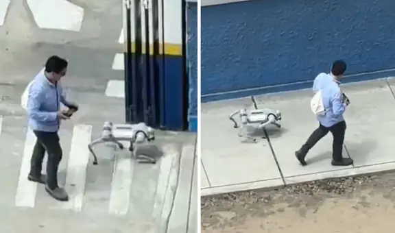 Peruano pasea con perro robot en Comas y usuarios quedan intrigados: “¿Muerde?”