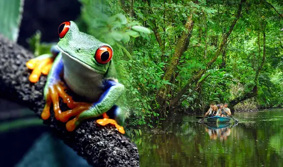 Este es el ÚNICO país de América Latina entre los 10 mejores protectores de la naturaleza: no es Brasil