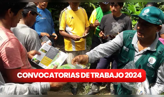 Senasa lanza convocatoria laboral en Áncash, Cajamarca, Lima y Pasco con sueldos de hasta S/. 4.000: ¿cómo postular?