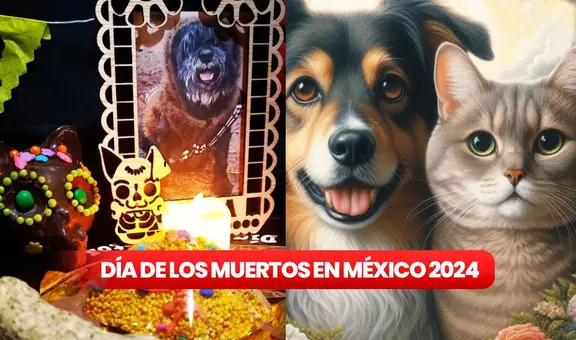 Día de Muertos de mascotas 2024: ¿cuándo visitan los altares los gatos y perros fallecidos?