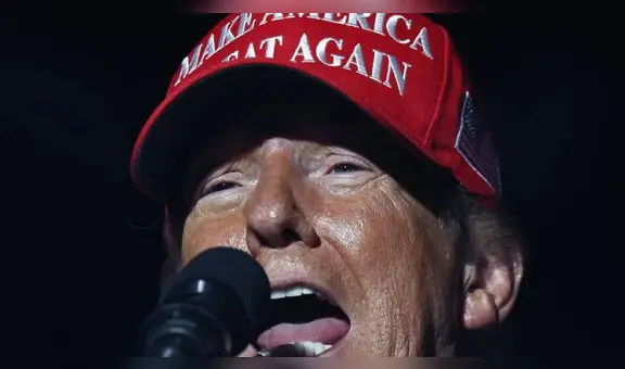 Estrellas porno piden a los hombres votar contra Donald Trump