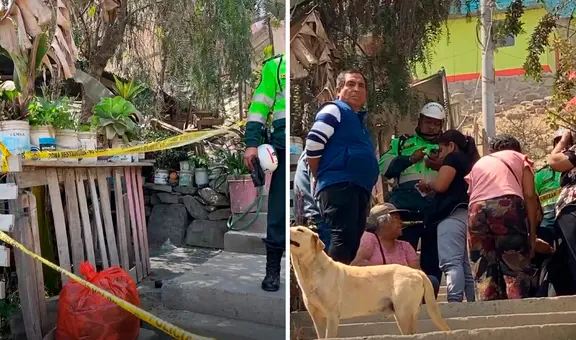 Triple homicidio en Ate: asesinan a madre y sus dos hijos tras brutal ataque en Huaycán