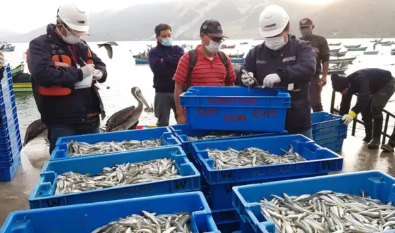 Produce autoriza reinicio de pesca de pejerrey desde el 27 de octubre