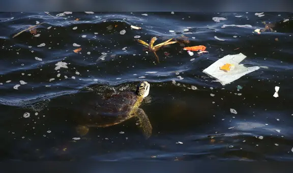 El país de Sudamérica que tira más residuos plásticos al océano, según estudio: 1,3 millones de toneladas al año