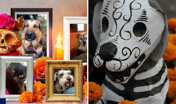 Día de Muertos de mascotas 2024: ¿a qué hora llegan los animales fallecidos a visitar a sus familiares?