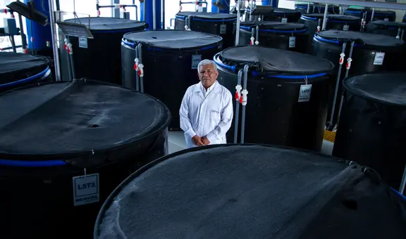 Desde el océano para los campos: científicos peruanos crean un producto con algas para ayudar a los cultivos