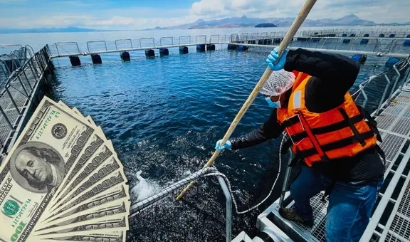 Excelentes noticias para inmigrantes latinos: ofrecen hasta US$27.000 por pescar en Alaska en solo 3 meses