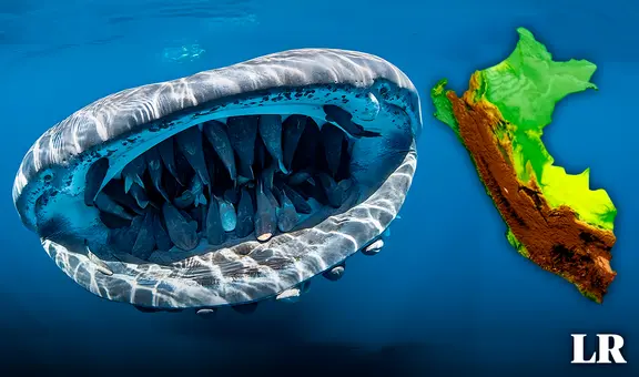 Este imponente animal es el pez más grande del mundo y habita en Perú: mide más que un autobús y supera las 30 toneladas