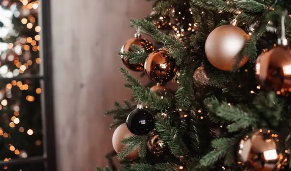 Adiós al clásico pino con adornos dorados: lo de hoy son estos elementos para decorar en Navidad 2024