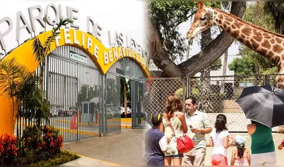 Ingresa gratis al Parque de las Leyendas por el Día de los Muertos: cuáles son los requisitos y actividades que se realizarán