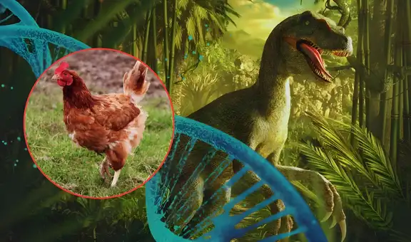 Proyecto 'Pollosaurio': el deseo del paleontólogo de EE. UU. Jack Horner de traer a la vida a un dinosaurio vivo