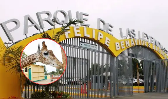 Parque de las Leyendas suspende temporalmente una de sus atracciones más visitadas, ¿qué pasó?