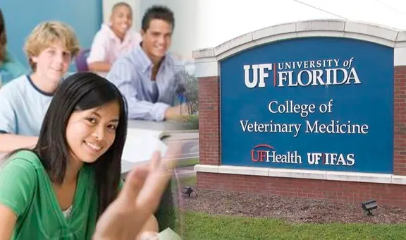 Estados Unidos 2024: los tipos de becas para estudiantes inmigrantes en Florida y cómo acceder