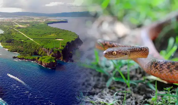 La isla más deteriorada de América podría colapsar en los próximos 50 años y no es la Amazonía