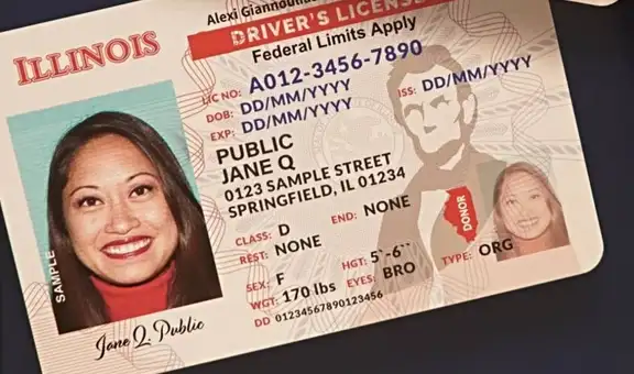 Licencias de conducir para indocumentados en Illinois: requisitos y usos clave de la identificación en USA