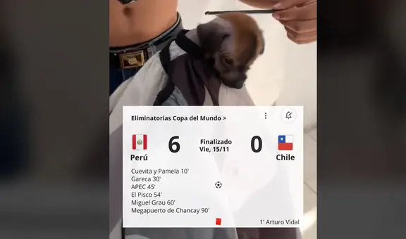 Los mejores memes previo al Perú vs. Chile por las Eliminatorias: “El clásico es ganarte”