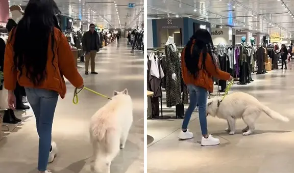 Joven va a centro comercial con su perrito, pero sucede lo impensable: “Viví la vergüenza del año”