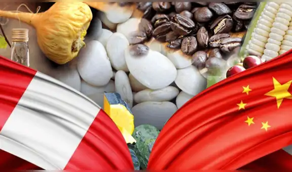 Perú y China en APEC 2024: ¿cuáles son los 7 productos nacionales que se exportarán al país asiático?