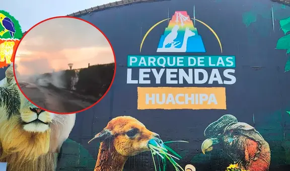 Incendio forestal en el Parque de las Leyendas puso en peligro animales y trabajadores de la sede Huachipa