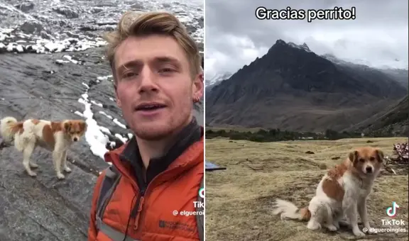 Perrito 'salvó' a montañista inglés que se perdió entre las montañas de Áncash, a casi 5.000 metros de altura