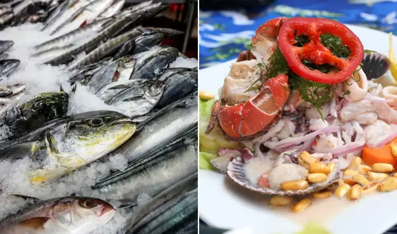 ¿Qué pescado es ideal para ceviche? Descubre las mejores especies para este plato peruano