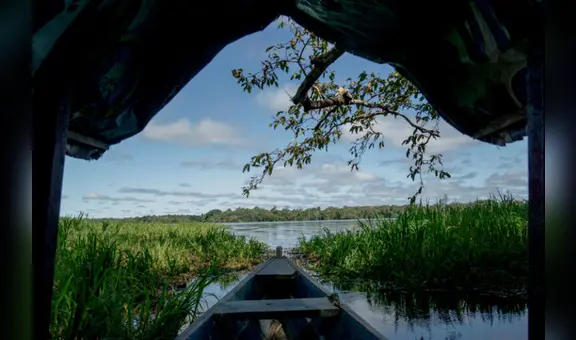 Detectan con IA 67 narcopistas ocultas en la selva peruana: “Lo que encontramos fue abrumador”