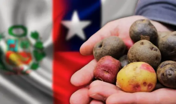 La vez que Chile trató de inscribir la papa como patrimonio nacional, pero el Perú se opuso: "Fue inapropiado"