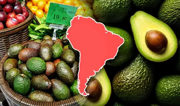 El país de Sudamérica que conquista a China con su palta: exportó 50.000 toneladas de 'oro verde' y superó a Chile