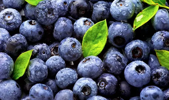 El país sudamericano que lidera la exportación de 'oro azul' en toneladas y supera a Estados Unidos