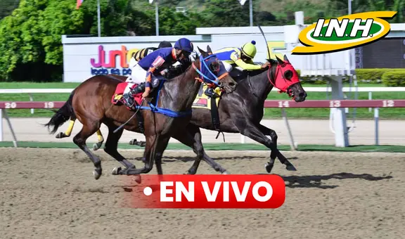 Resultados del 5y6 en La Rinconada EN VIVO HOY: sigue vía INH TV las carreras y ganadores del 24 de noviembre