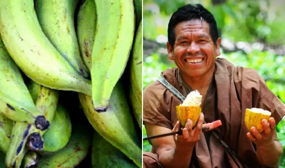 Postres de la selva peruana: las 5 recetas auténticas para preparar en casa