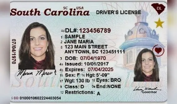 Licencia de conducir gratis para inmigrantes en Carolina del Sur: realiza este único paso y recibe tu Real ID en 2025