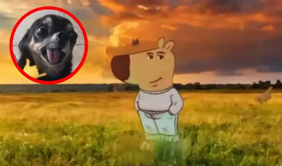 Este es el singular significado detrás del “perro chill”, el nuevo meme viral en todas las redes sociales