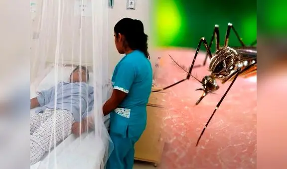 Dengue pone en alerta epidemiológica a Perú: EsSalud reporta que casos superan los 90.000 y se concentran en el norte