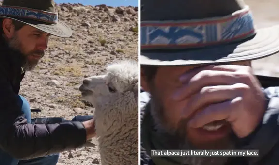 La vez que alpaca escupió a fotógrafo de National Geographic durante sesión de fotos: "Bienvenido a Perú"