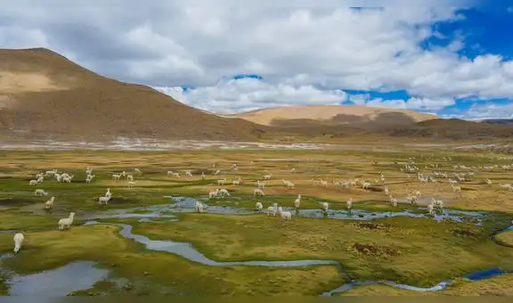 Arequipa destina millones para la conservación de ecosistemas y fuentes de agua
