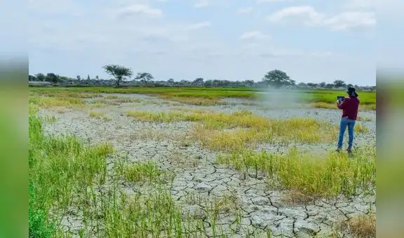 Crisis hídrica en Piura: “Solo esperamos que Dios nos dé lluvias”
