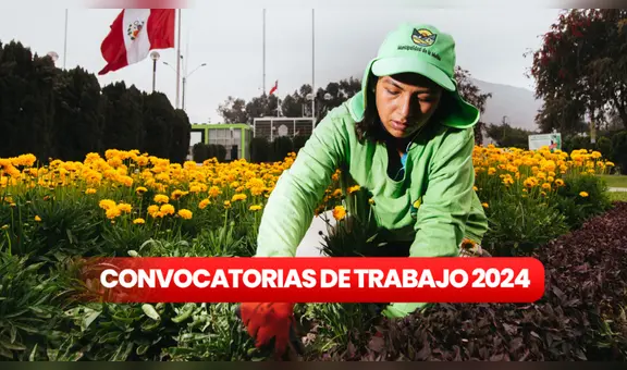 ¿Eres universitario o acabaste secundaria? Municipalidad de la Molina tiene vacantes con sueldos hasta S/ 8.700