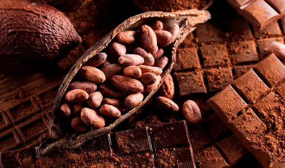 Descubre el país de América Latina donde nació el cacao y cómo se esparció por el mundo, según estudio científico
