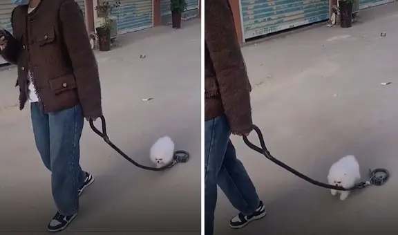Joven se distrajo con su celular y no se percató de que su perrito se soltó de la correa: clip es viral
