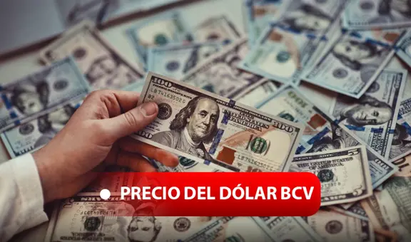 Precio del dólar BCV en Venezuela hoy, 8 de diciembre, vía Banco Central y dólar paralelo