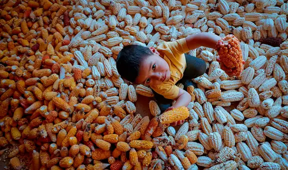 Advierten que 6 de cada 10 niños en América Latina padecen cansancio y emociones negativas por hambre, según estudio