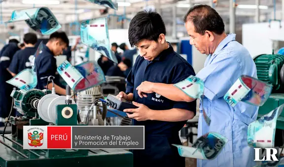 Esta es la carrera técnica mejor pagada del Perú, según MTPE: ¿dónde estudiarlo gratis en Comas y ganar más de S/9.000 al mes?