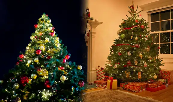 Árboles de Navidad gratis en Estados Unidos: estos son los programas para conseguir uno sin ningún costo