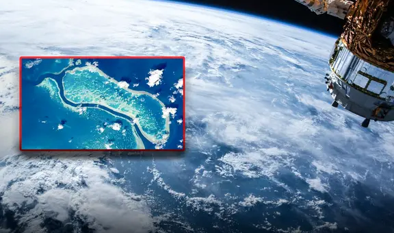 Este es el único animal visible desde el espacio y el más grande del mundo: no es una jirafa ni una ballena azul