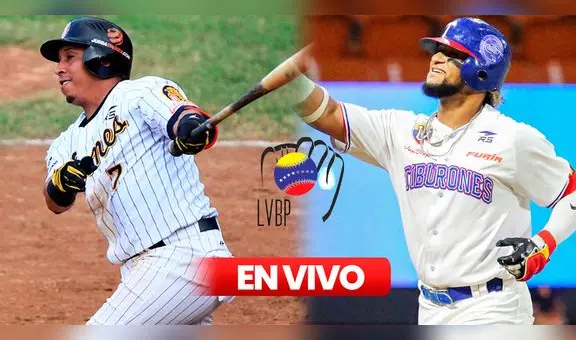 Leones del Caracas vs. Tiburones de La Guaira EN VIVO: ¿a qué hora y dónde ver el juego de la LVBP 2024-25?