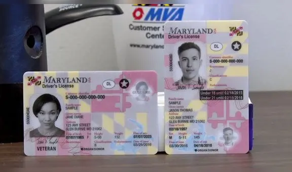 Licencia de conducir para inmigrantes en Maryland: 5 únicos requisitos para obtener tu Real ID en USA este 2025