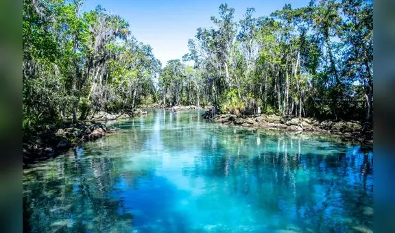 El paraíso tropical en California que debes visitar en 2025: el mejor de EE. UU. por su conexión con la naturaleza